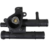 VALVULA TERMOSTATICA MASTER 2.5 (2005/2013)